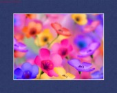 migraine drug treatment basics image healthtips images